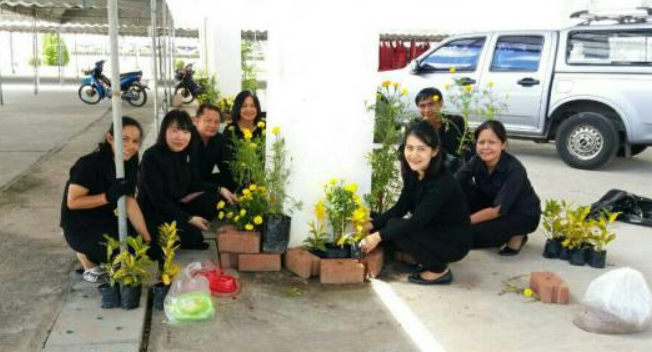Mol-Thailand