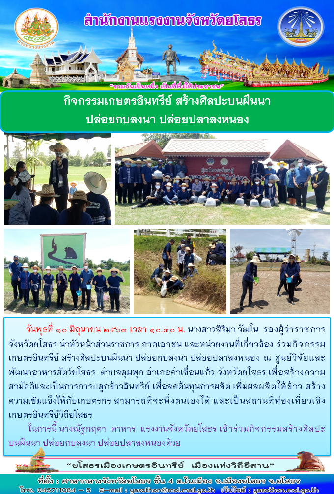 Mol-Thailand